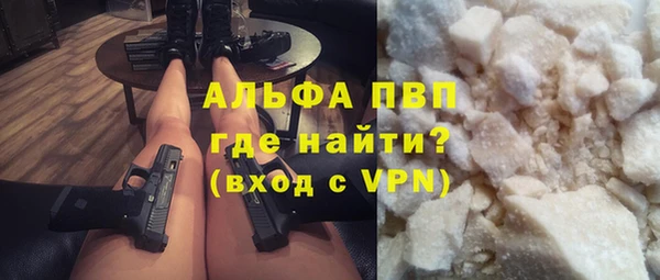 шишки Арсеньев