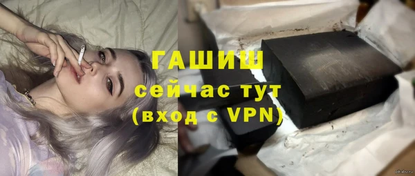 шишки Арсеньев