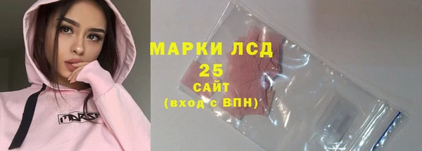 шишки Арсеньев