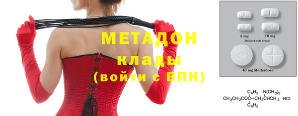 шишки Арсеньев