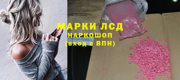 шишки Арсеньев